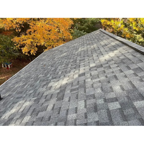 Rhino-Back Roofing