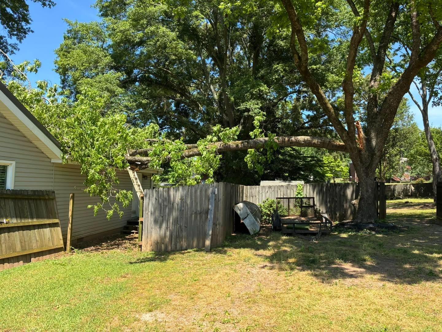 Arbor West LLC