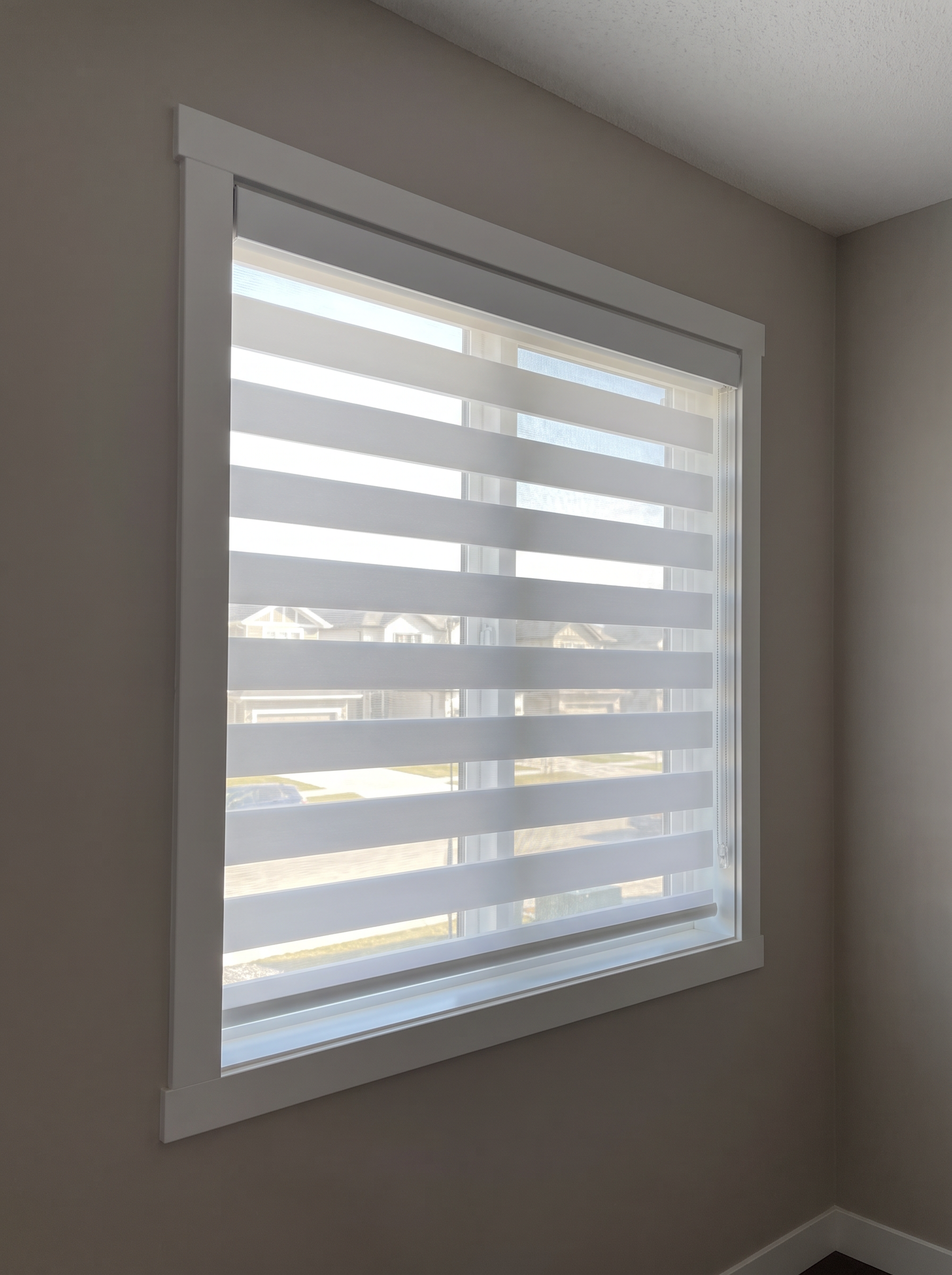 Sunleo Window Coverings