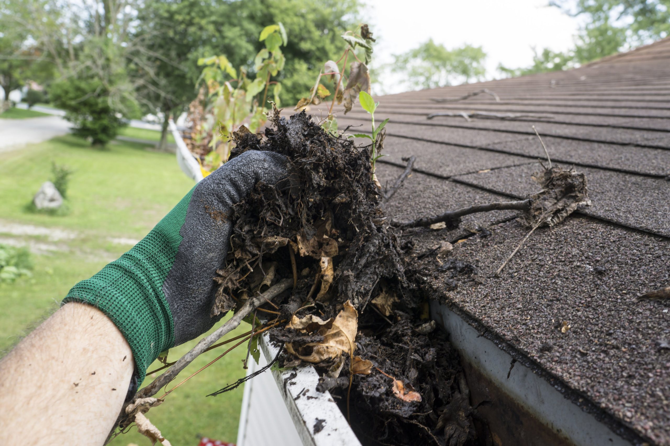 Rivera’s Landscaping LLC