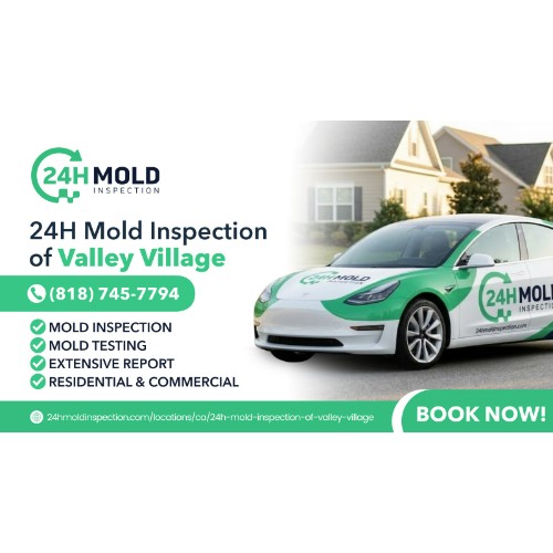 24H Mold Inspection of Valley Village
