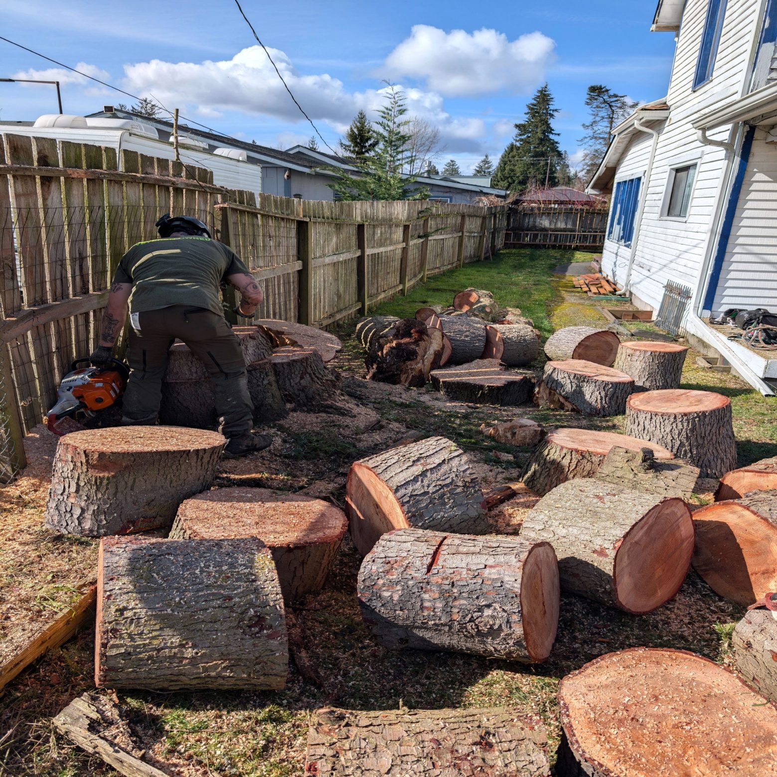 Wauson Tree Service