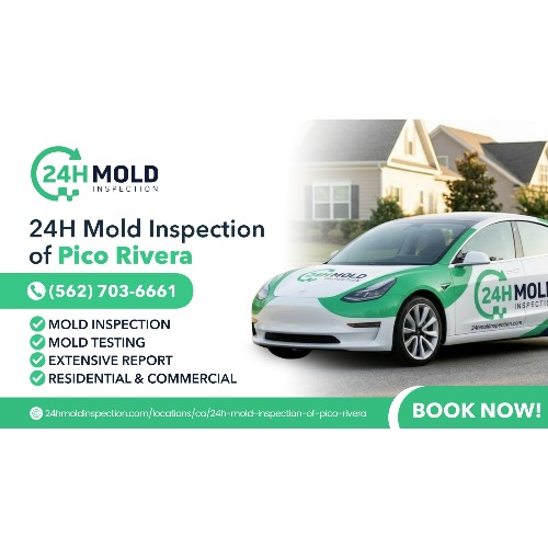 24H Mold Inspection of Pico Rivera
