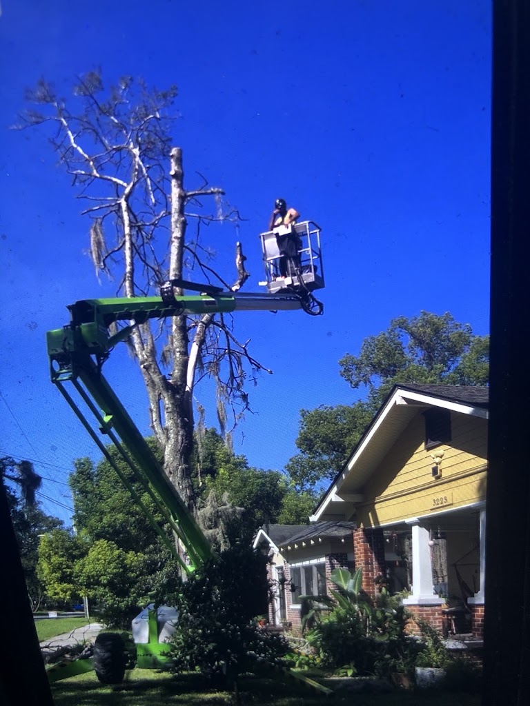 Jeff Mobley Tree Service