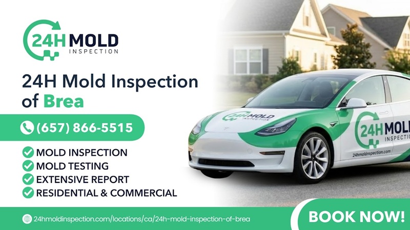 24H Mold Inspection of Brea