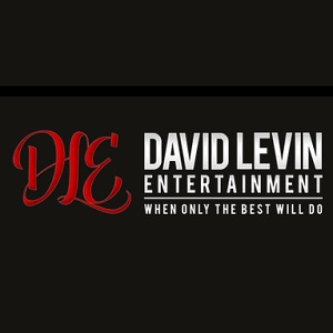 corporate show bands for hire