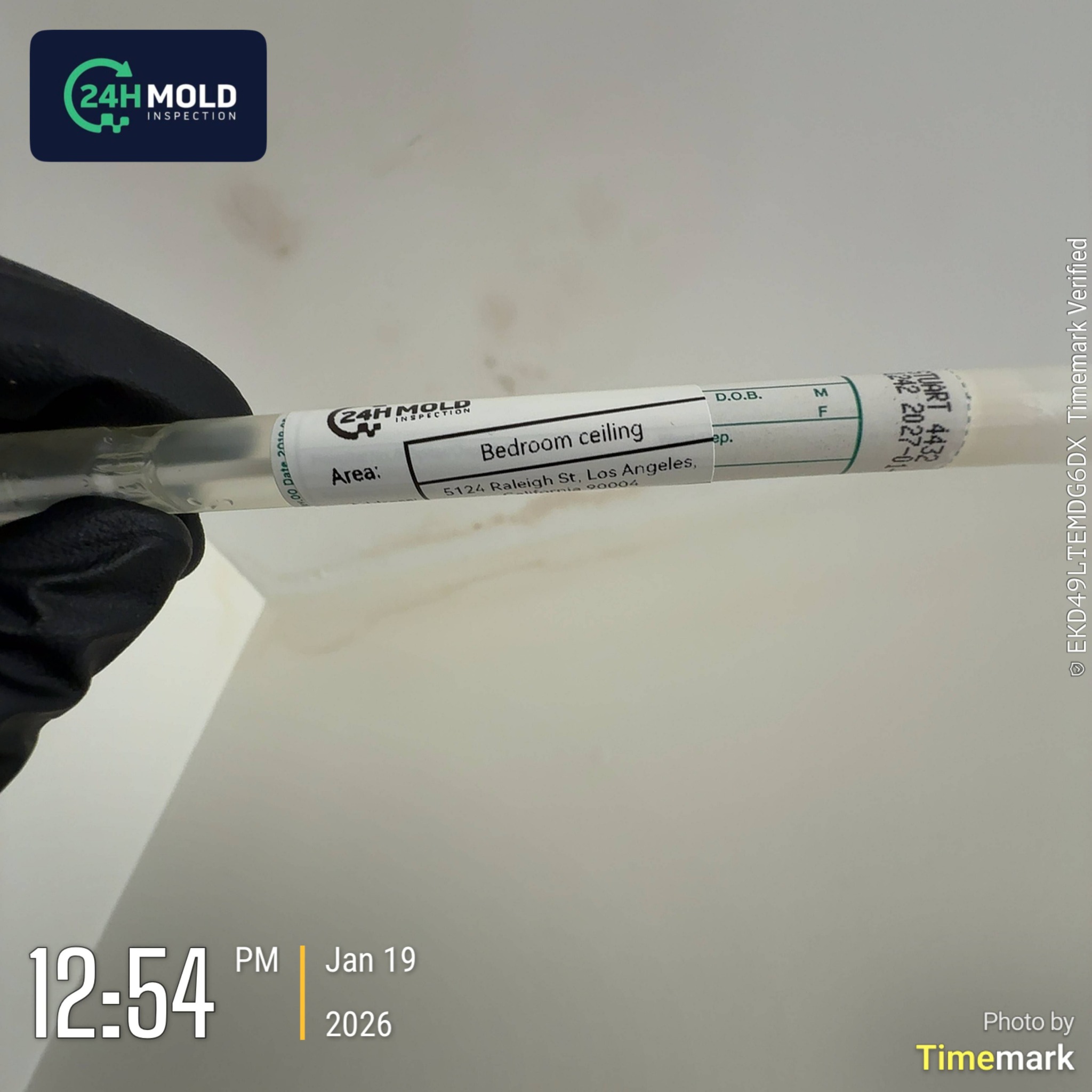 24H Mold Inspection of Santa Barbara
