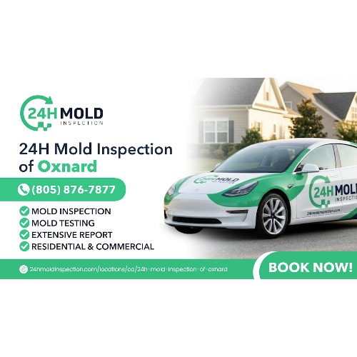 24H Mold Inspection of Oxnard