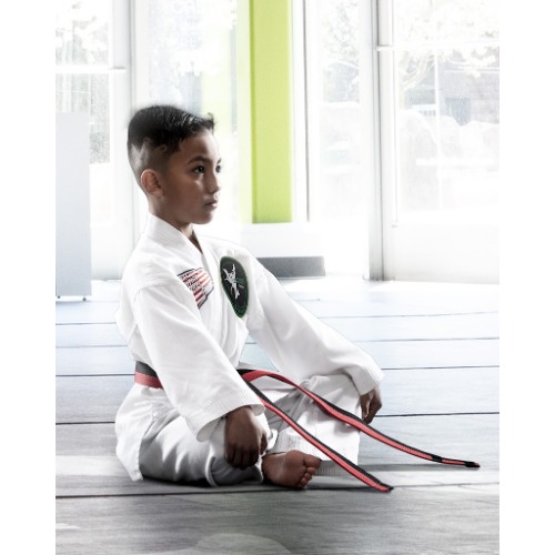 Venture Martial Arts