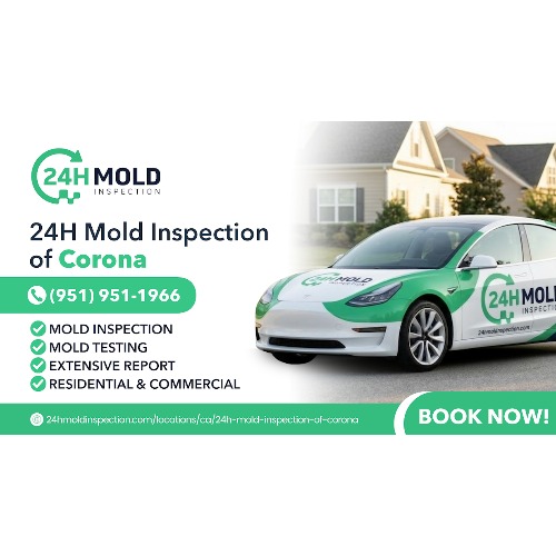 24H Mold Inspection of Corona