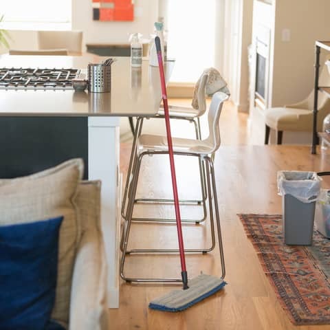 Organic Cleaning Queen
