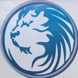 The Lion Carpet and Upholstery Cleaning