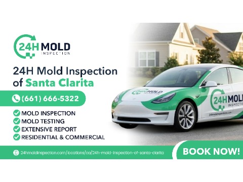 24H Mold Inspection of Santa Clarita