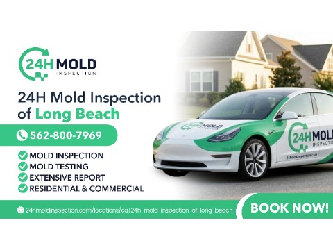 24H Mold Inspection of Long Beach