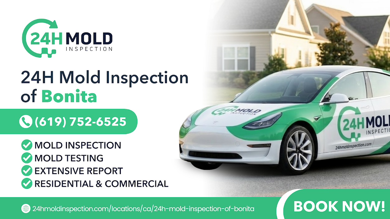24H Mold Inspection of Bonita