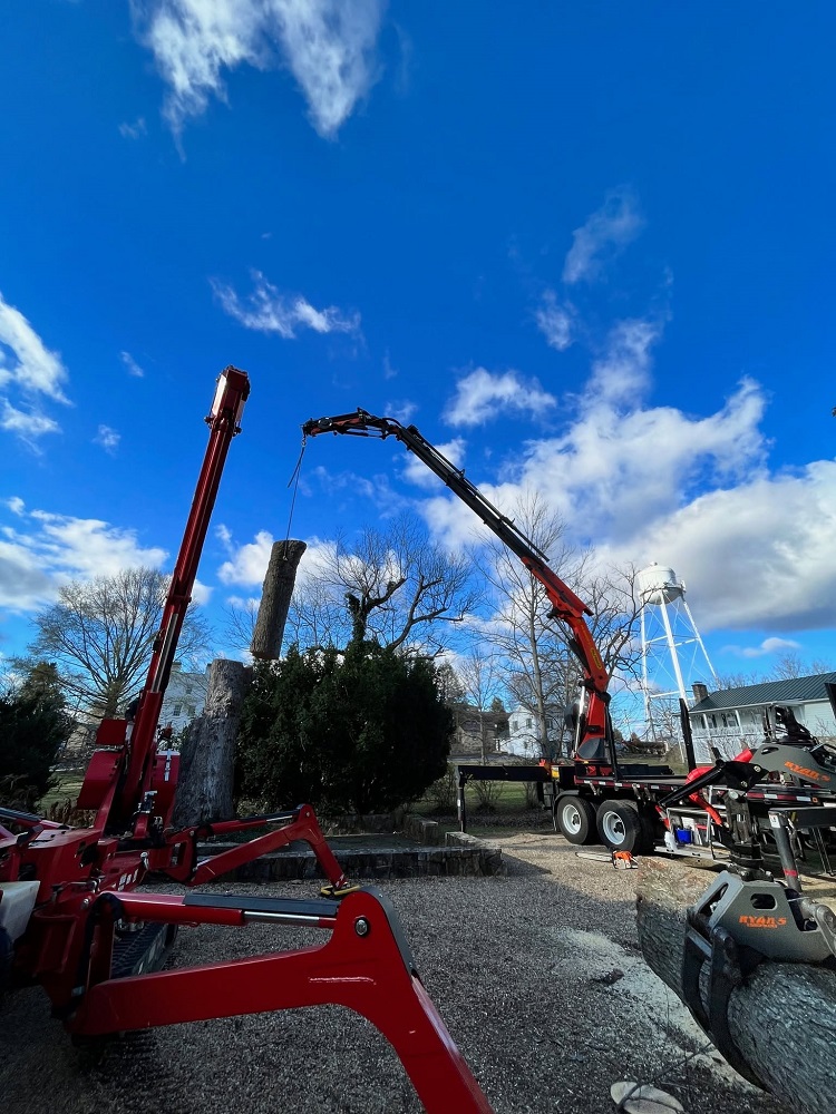 Barren Tree Solutions Inc.