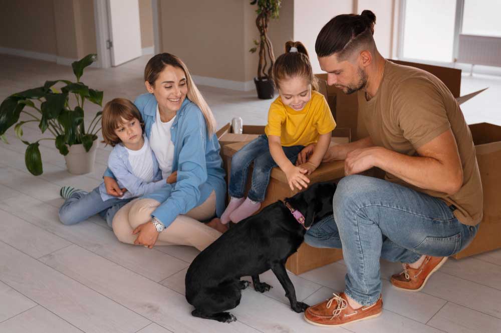 Easy Life Cleaning Services