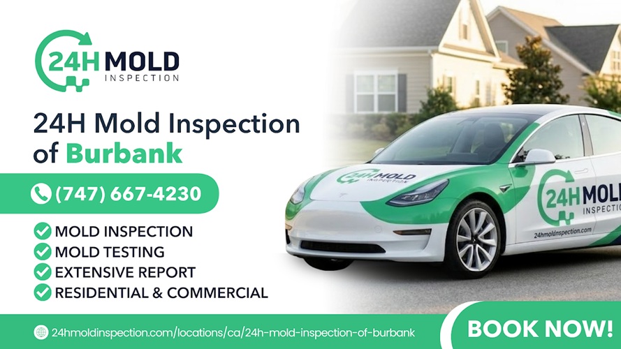 24H Mold Inspection of Burbank