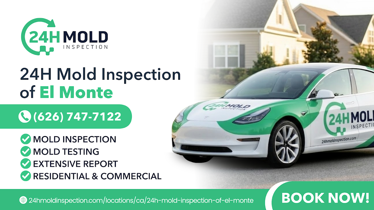 24H Mold Inspection of El Monte