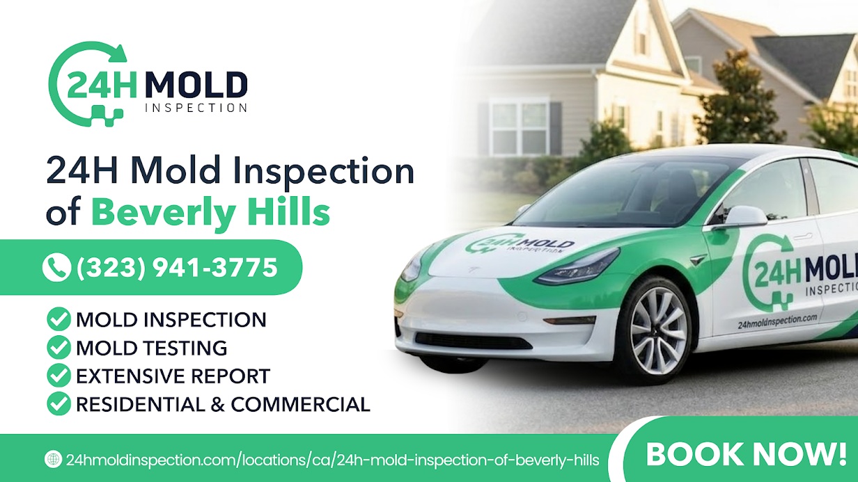 24H Mold Inspection of Pasadena
