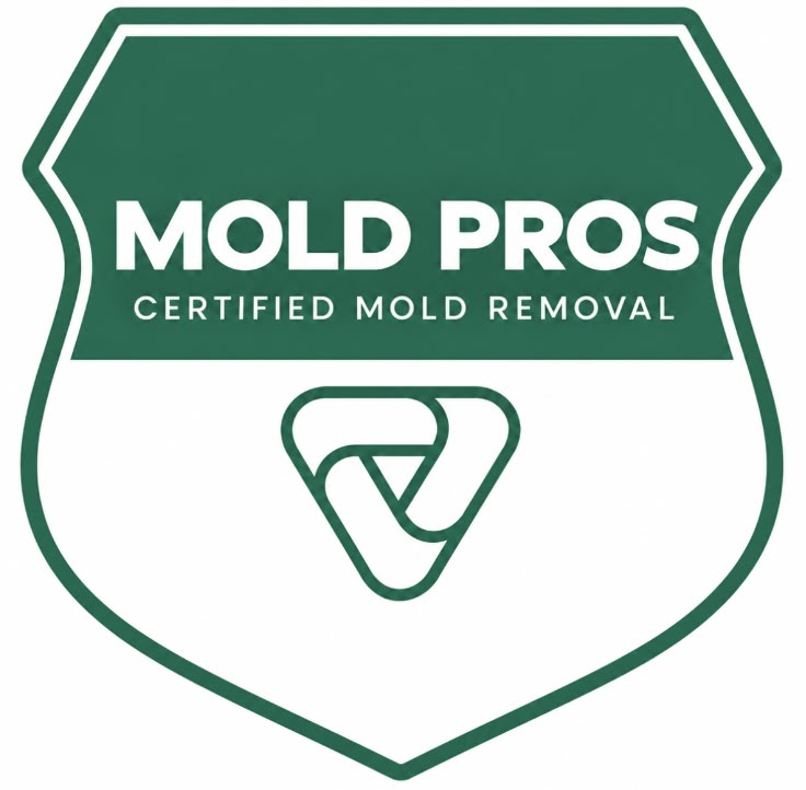 Puyallup Mold Remediation Pros