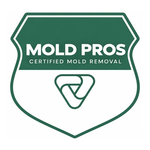 Saint Joseph Mold Remediation Pros