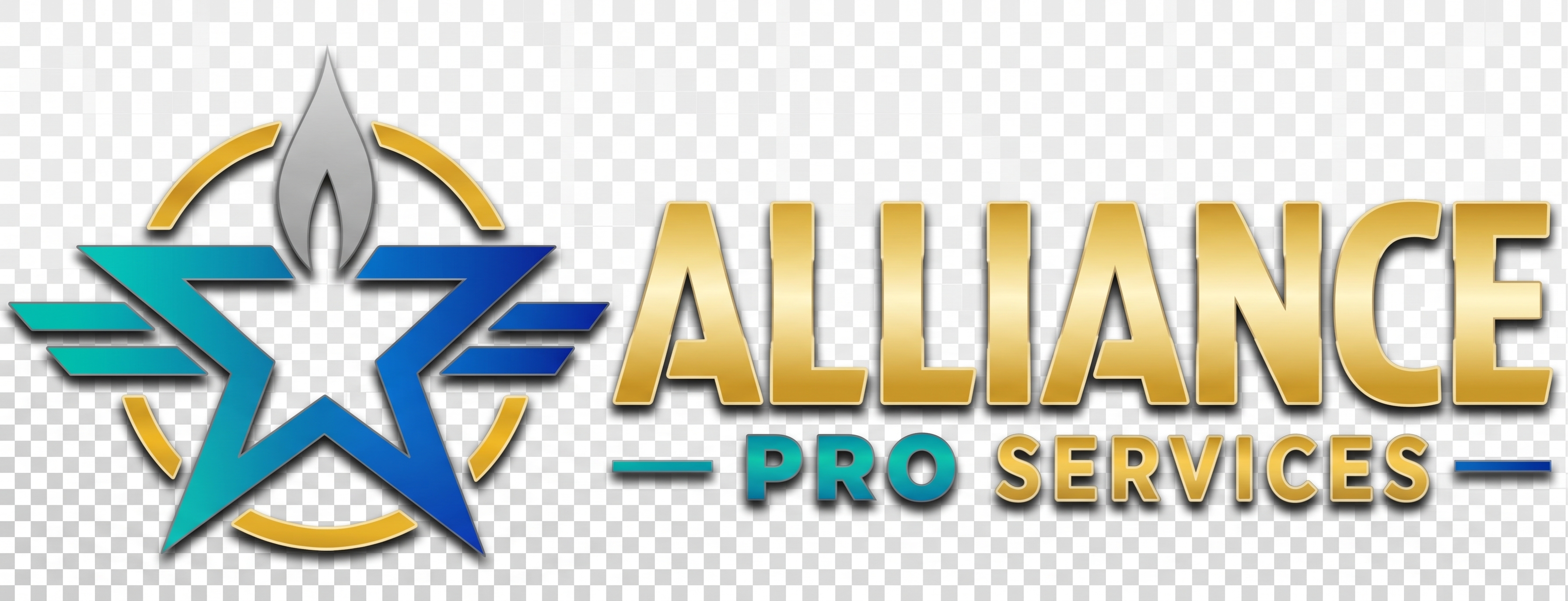 alliance pro services LLC