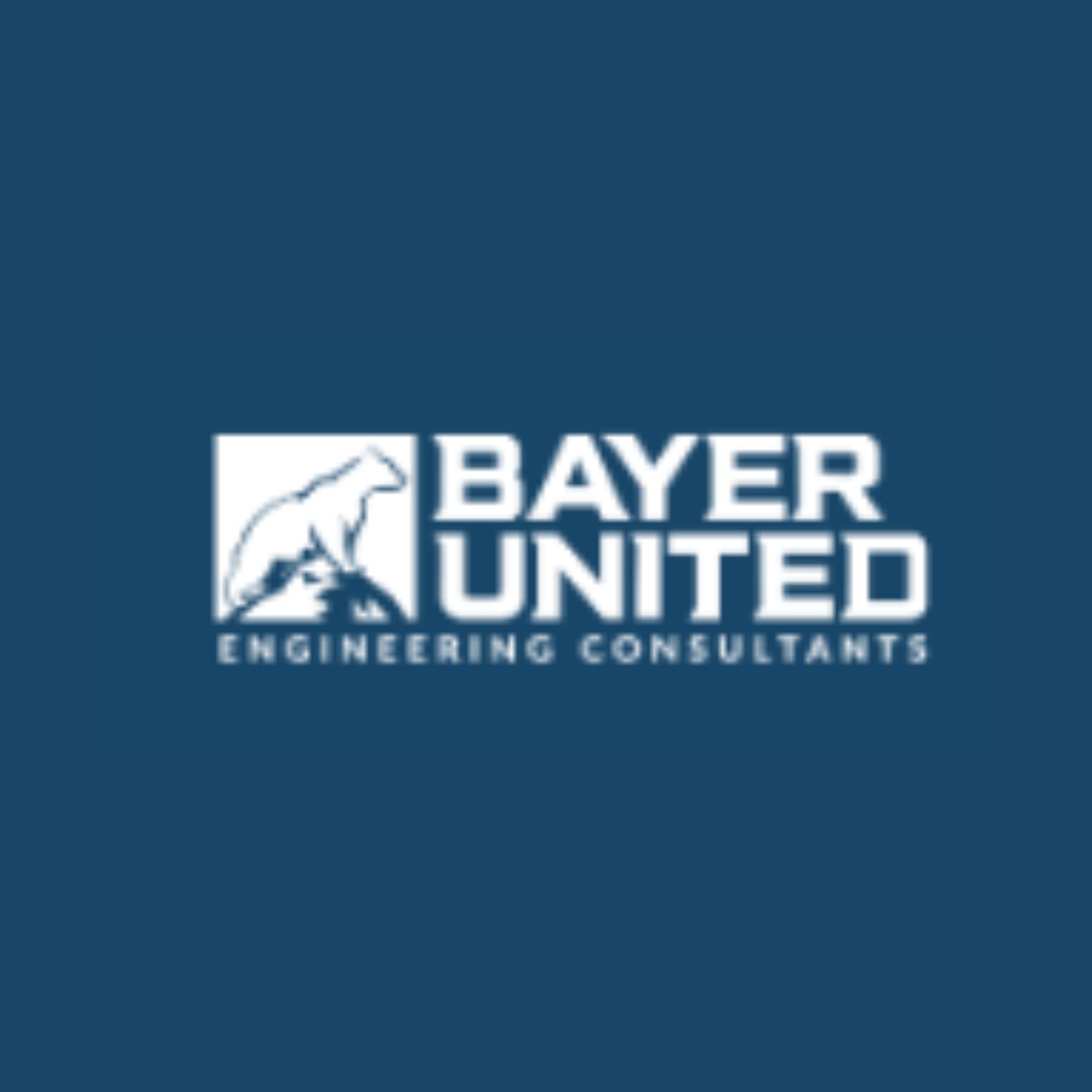 Bayer United Engineering Consultants
