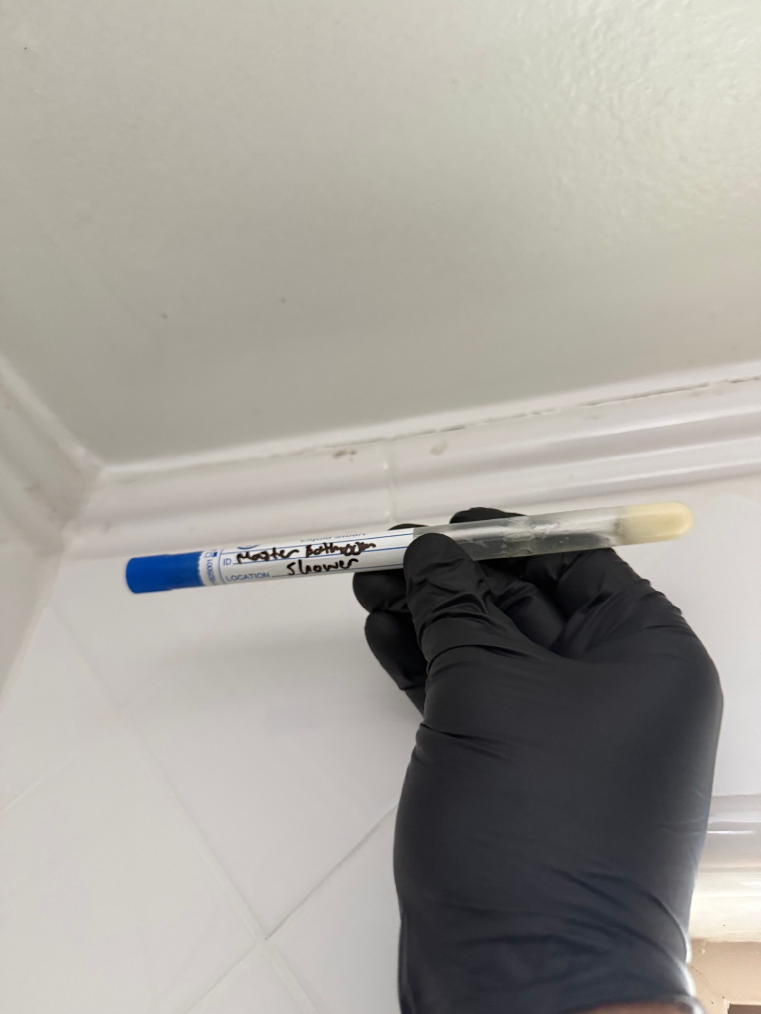 24H Mold Inspection of Altadena