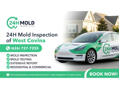 24H Mold Inspection of West Covina