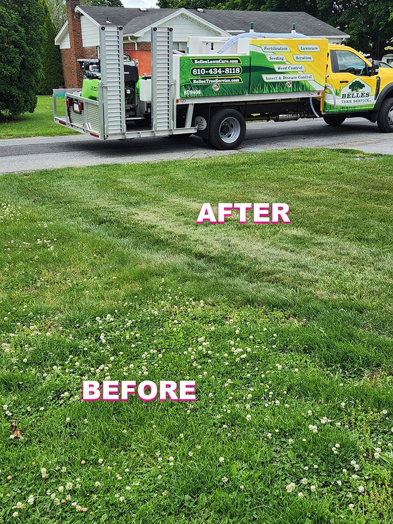 Belles Lawn Care