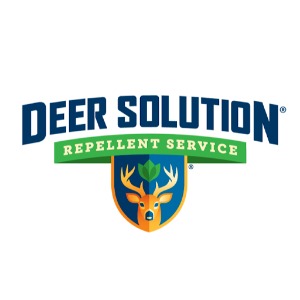Deer Solution of the Main Line
