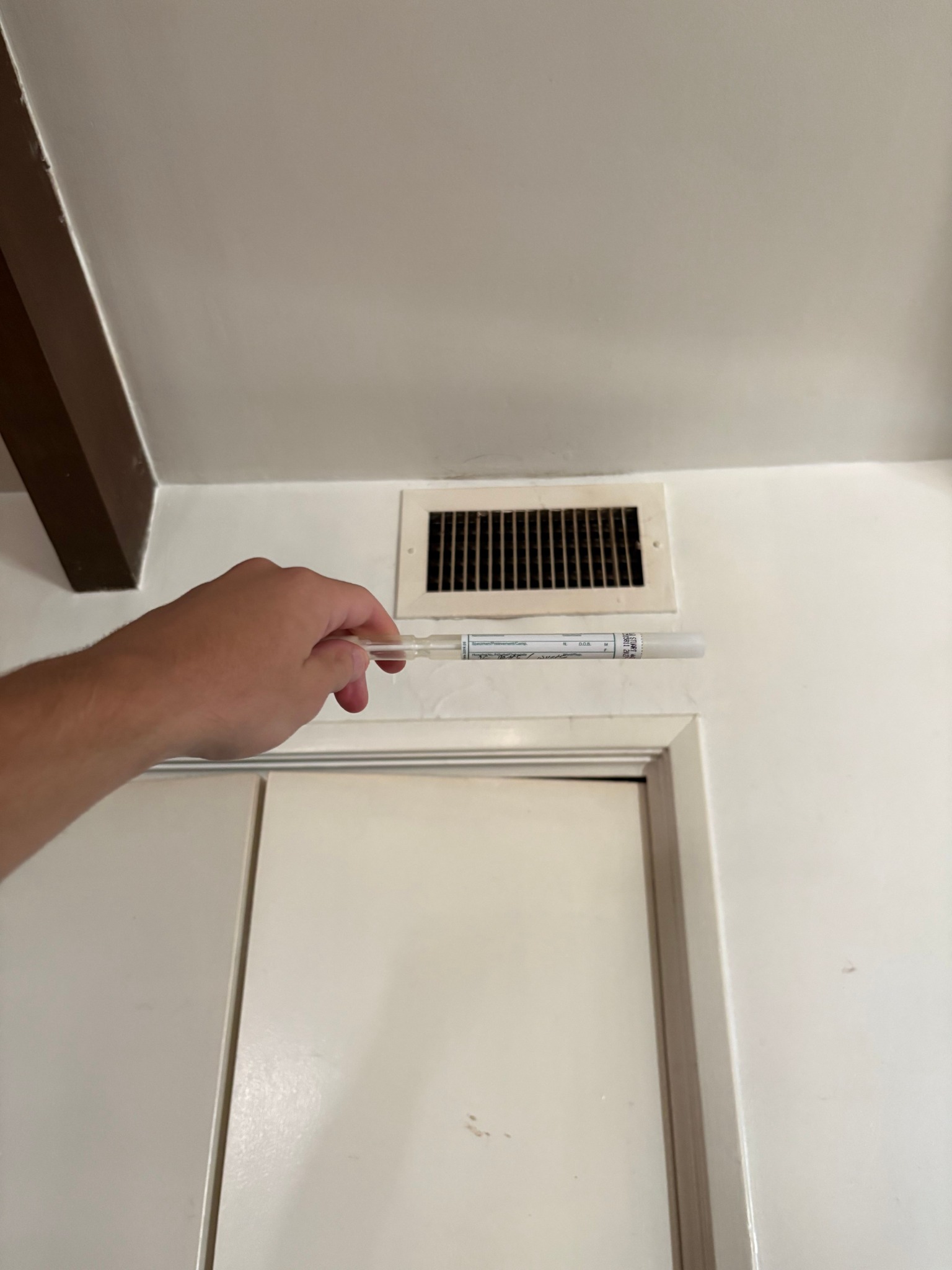 24H Mold Inspection of Encino