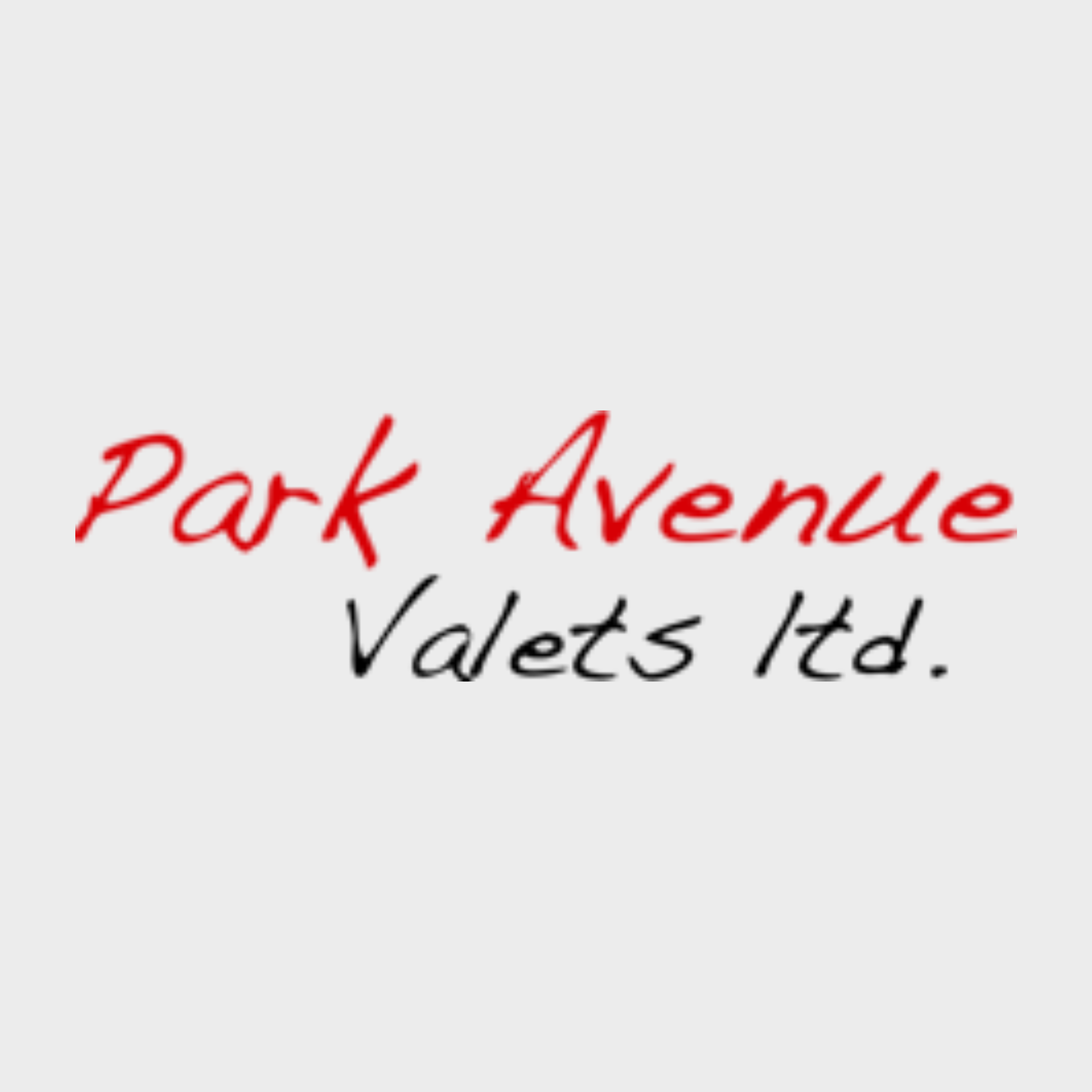 Park Avenue Valets Ltd