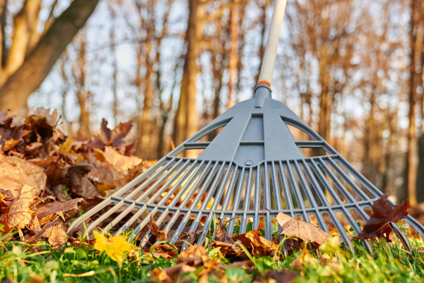 In and Out Landscaping CT