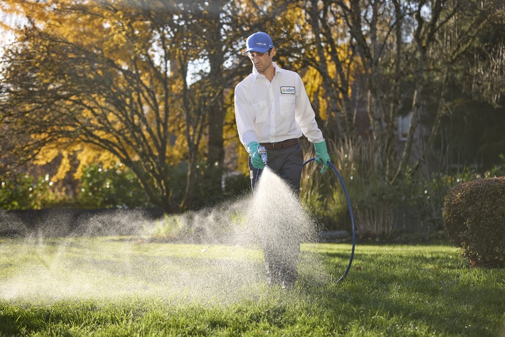 Axiom Eco-Pest Control