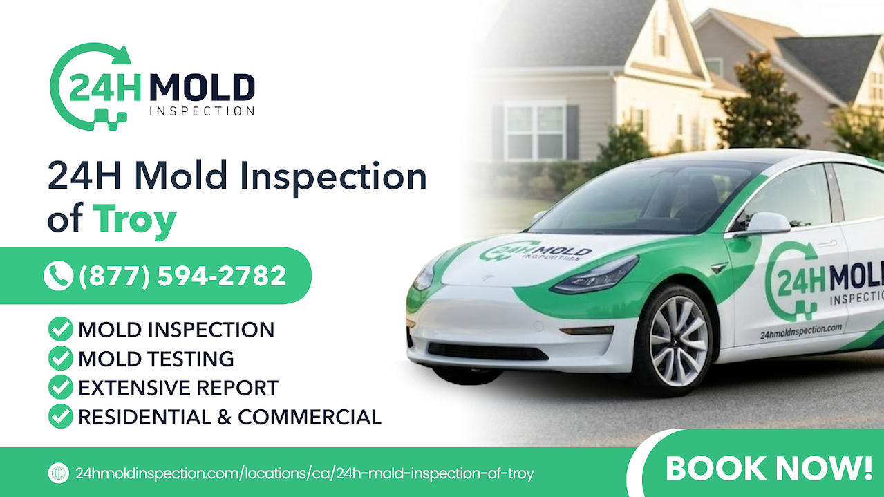 24H Mold Inspection of Troy