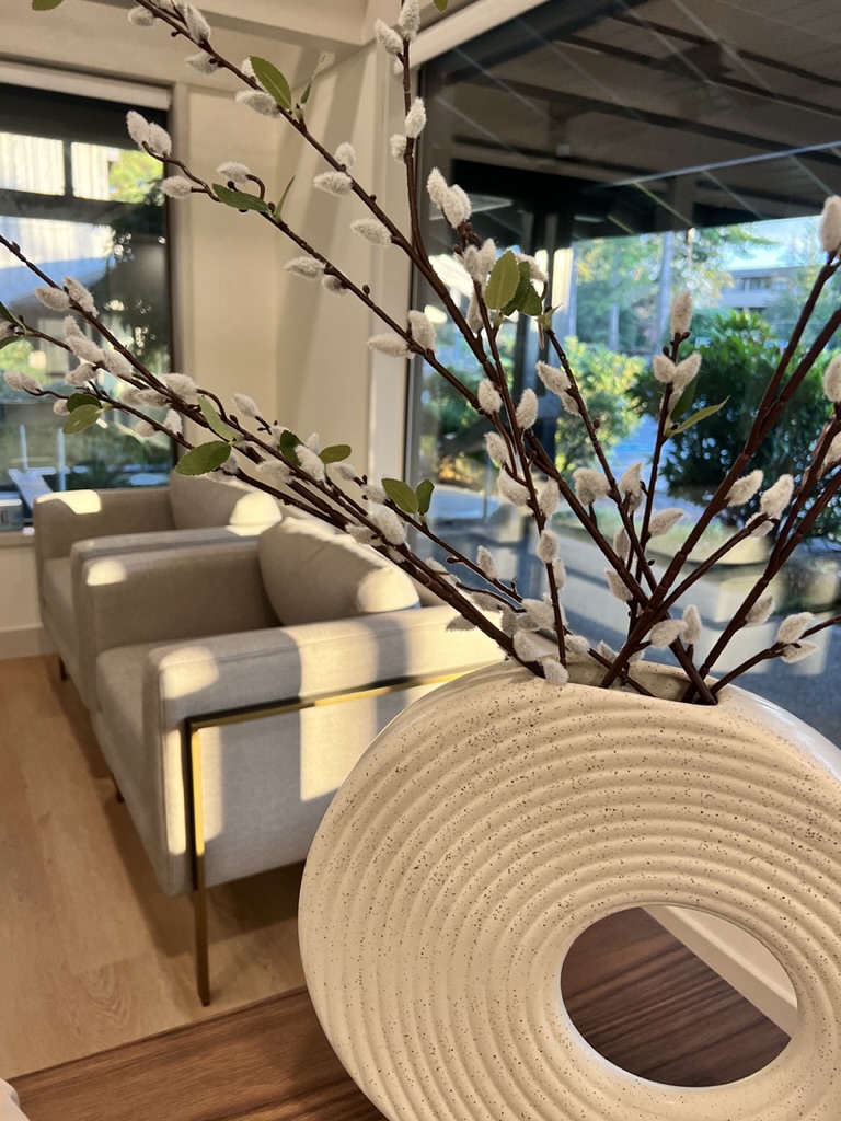 Airis Eye & Wellness